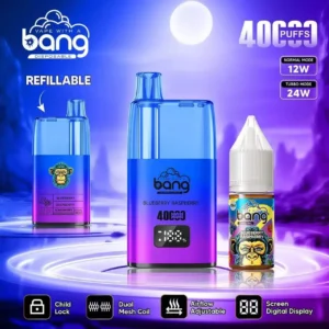 Bang 40000 Navulbare Vape - 40K Rookjes, LED Display & Totale Controle